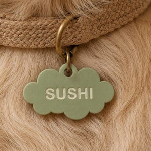 May include: A dog's tan collar with a light green cloud-shaped tag. The tag reads "SUSHI" in white capital letters. The dog's fur is light brown. The collar has a brass-colored buckle and ring.