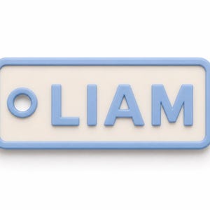 May include: A rectangular name tag with rounded corners. The tag has a light blue border and the name "LIAM" in light blue letters. The background is off-white, and there is a light blue circle on the left side of the name.