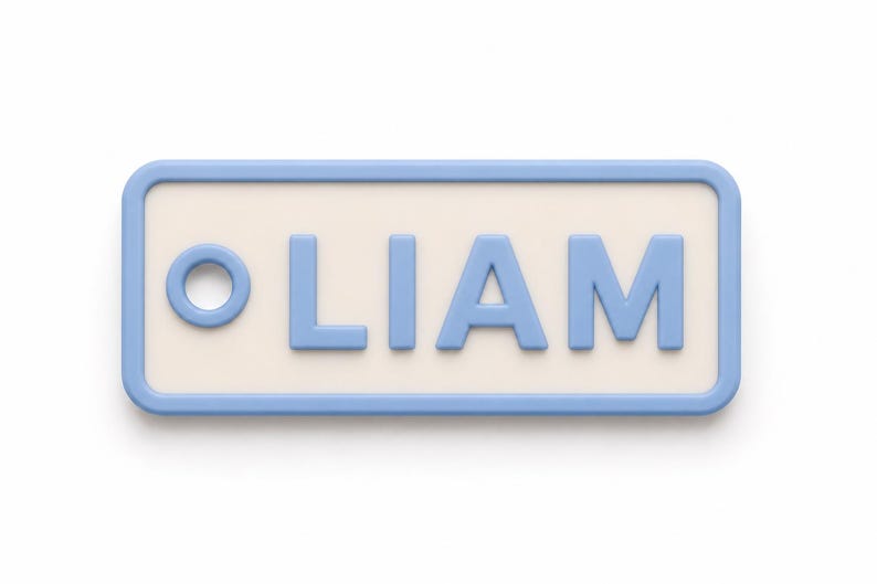 May include: A rectangular name tag with rounded corners. The tag has a light blue border and the name "LIAM" in light blue letters. The background is off-white, and there is a light blue circle on the left side of the name.