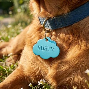 May include: A golden-brown dog wearing a blue fabric collar with a brass ring attachment. Attached to the collar is a light blue, cloud-shaped pet identification tag with the name RUSTY embossed in capital letters on the front surface.