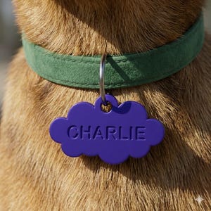 May include: A dark green suede pet collar featuring a purple cloud-shaped metal identification tag. The tag is attached to the collar with a silver-toned metal ring and has the name CHARLIE embossed in capital letters on the front surface.