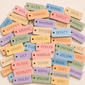 May include: A collection of pastel-colored name tags, each with a different name engraved in a contrasting color. The tags are rectangular with rounded corners and a small hole at one end. Names include Alex, Emily, and Madison.