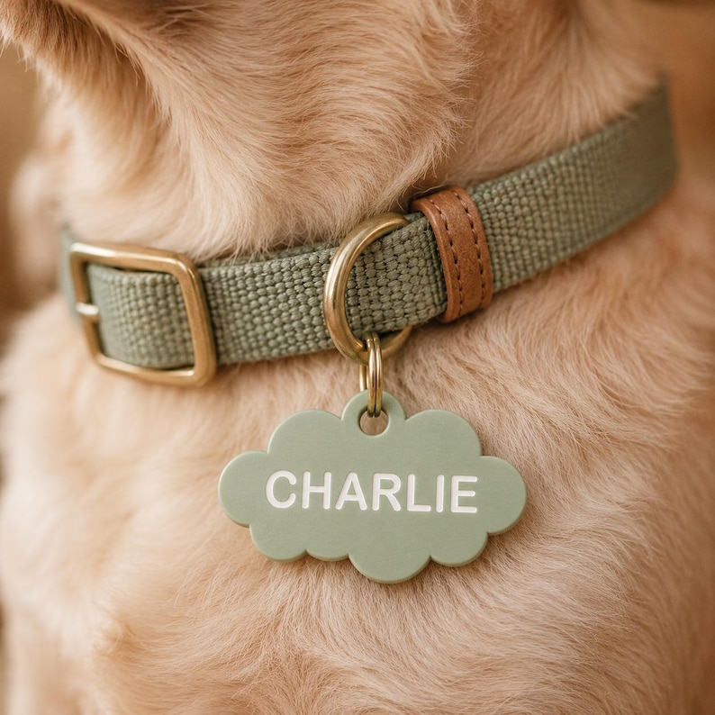May include: A sage green fabric dog collar with a brass buckle and a brown leather accent loop. Attached to the collar is a cloud-shaped sage green pet tag with the name CHARLIE printed in white capital letters on the front surface.
