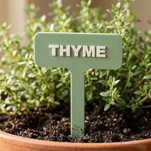 May include: A green plant marker with the word "THYME" in white block letters. The marker is in a pot of soil with green thyme plants in the background. The marker is a light green colour.
