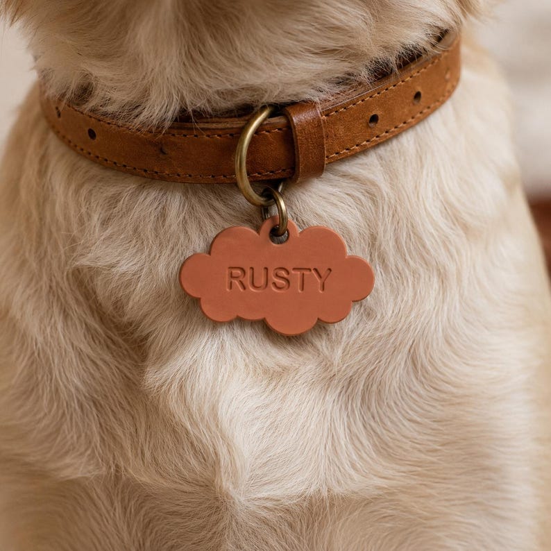May include: A tan leather dog collar with a brass buckle and a cloud-shaped terracotta-coloured pet tag attached by a brass ring. The tag is embossed with the name RUSTY in capital letters, centred on the smooth surface of the cloud shape.