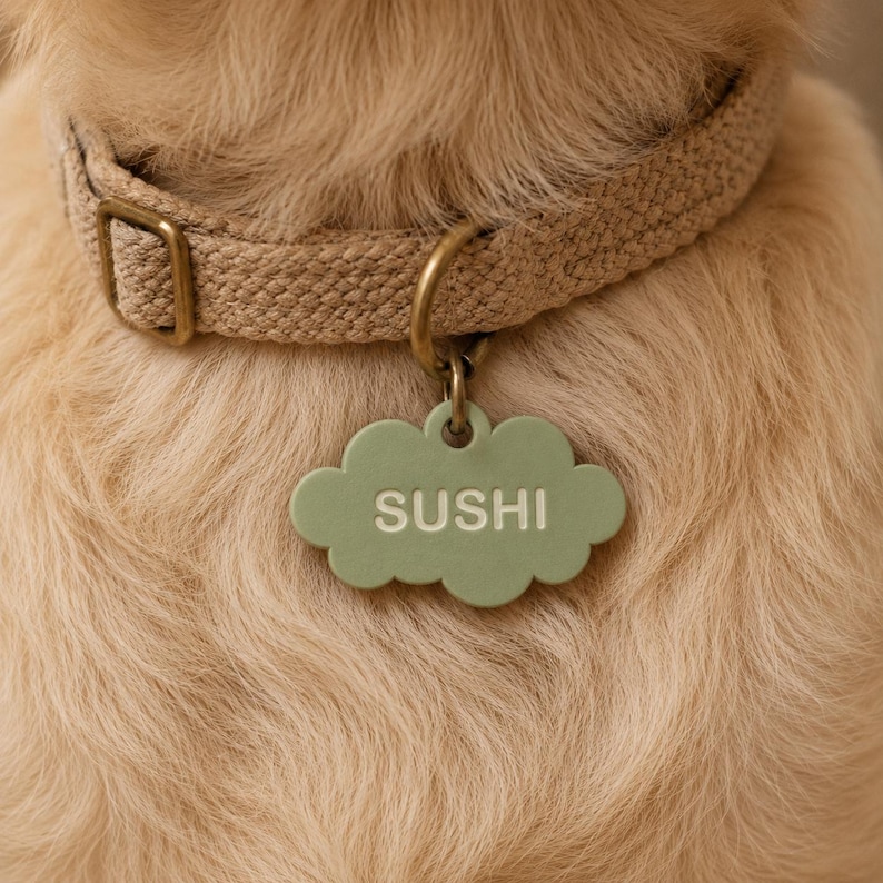May include: A light beige woven fabric collar with a brass buckle and D-ring, featuring a matte sage green cloud-shaped pet identification tag. The tag is engraved with the name SUSHI in a clean, sans-serif font, centred on the cloud surface.