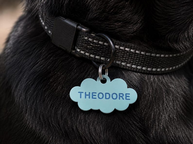 May include: A light blue cloud-shaped pet tag with the name THEODORE printed in dark blue letters. The tag is attached to a black woven collar with a reflective silver stripe, featuring a black plastic buckle and a metal D-ring for attachment.