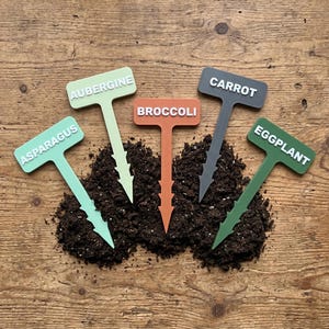 Pode incluir: Cinco marcadores de plantas de jardim em forma de T em várias cores, cada um com texto branco em relevo. Os marcadores estão rotulados como ASPARAGUS em verde claro, AUBERGINE em verde pálido, BROCCOLI em laranja, CARROT em cinza escuro e EGGPLANT em verde floresta.