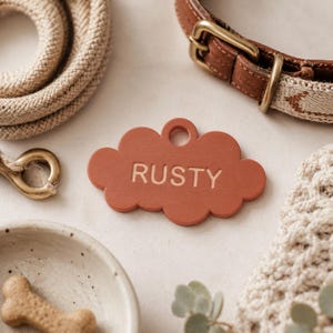 Puede incluir: Una placa de identificación para mascotas con forma de nube en color terracota mate con el nombre RUSTY grabado en el centro. La placa tiene un orificio circular en la parte superior para sujeción y se sitúa junto a un collar de cuero.