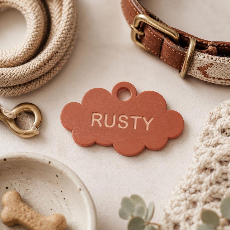 May include: A cloud-shaped pet identification tag in a matte terracotta colour with the name RUSTY engraved in the centre. The tag features a circular hole at the top for attachment and is positioned near a brown leather collar and rope leash.