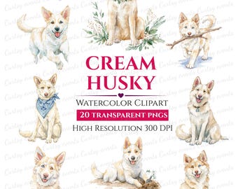Crème Husky Aquarel Clipart - 20 Transparante PNG's Digitale Download