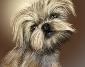 Brussels Griffon portrait