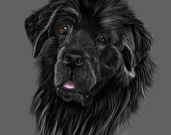 NEWFOUNDLAND DOG AND PUPPY CHARMING GREETINGS NOTE CARD