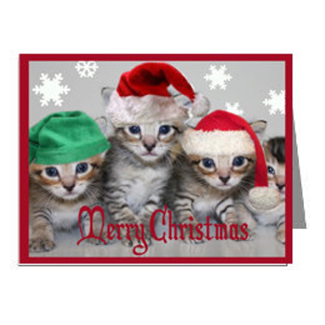 Four Kitten Christmas Cards Etsy