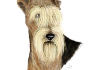 Lakeland Terrier 8x10 Original Print