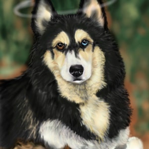 Custom Pet Portrait