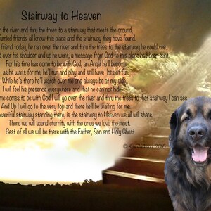 Pet Memorial