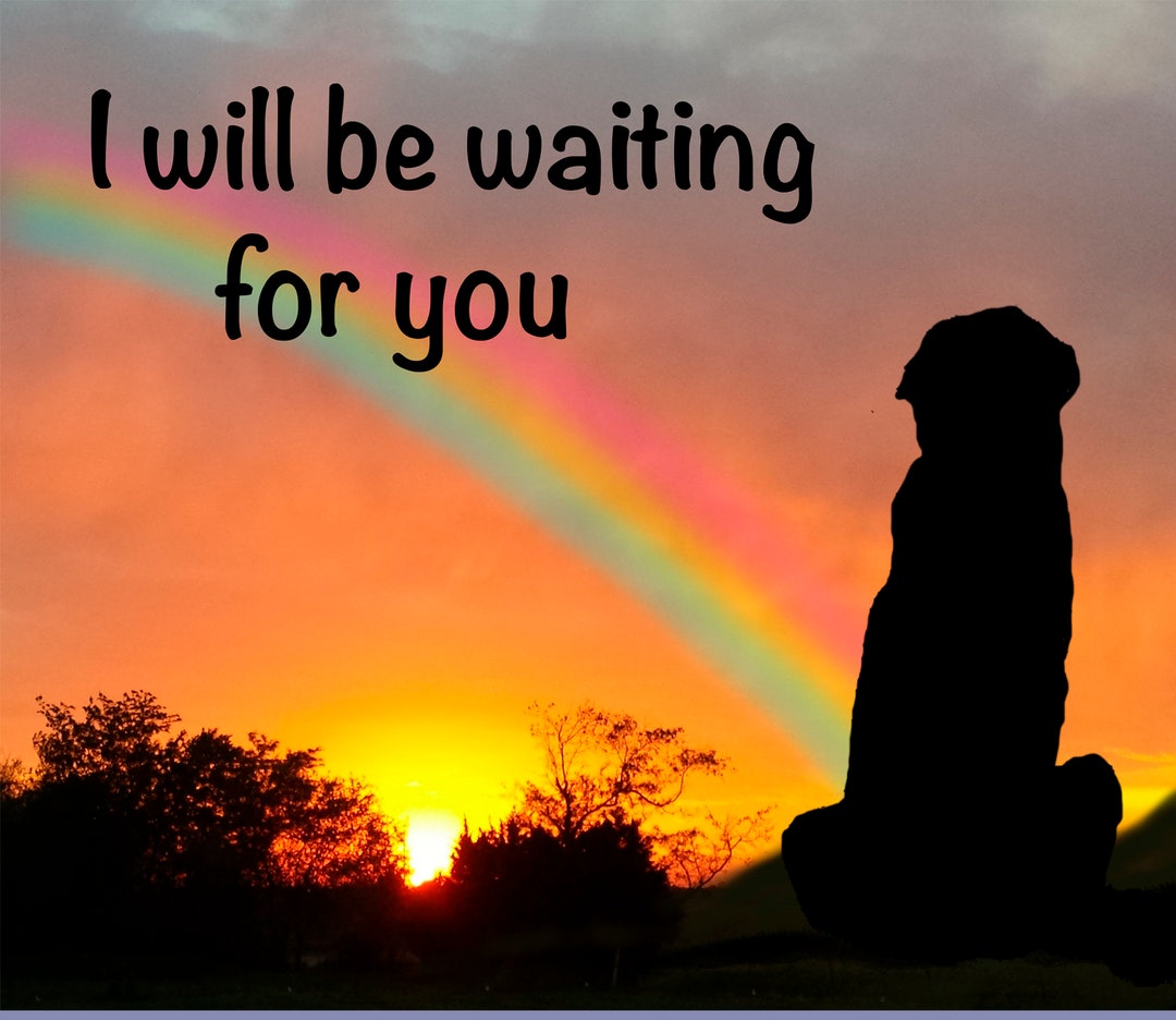 Waiting at the Rainbow Bridge Etsy