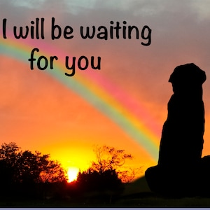 Aspettando al Rainbow Bridge