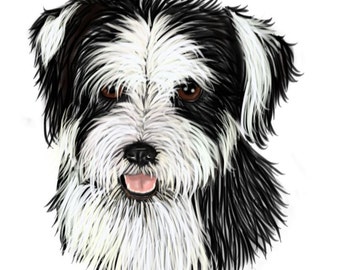 4 Tibetan Terrier Blank Note Cards