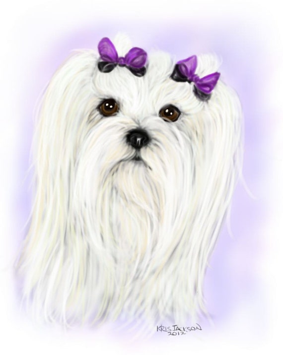 Maltese Note Cards Maltese Note Cards