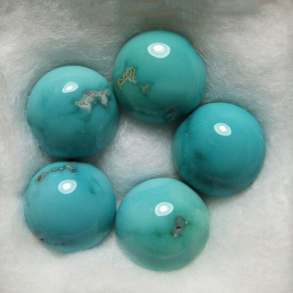 Carico Lake Mine Natural Turquoise Cabochons from Nevada, 7.28 cttw.