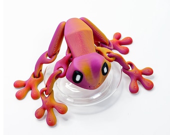 Magnetic Articulated Tree Frog Toy - Flexi 3D Printed Frog Fridge Magnet - Cute Rainbow Amphibian Desk Pet - Sensory ADHD Fidget Gift