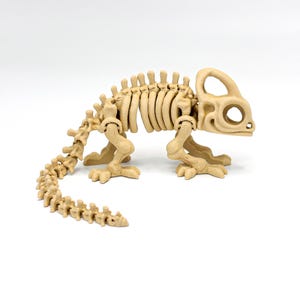 Articulated Chameleon Skeleton Toy - 3D Printed Lizard Fossil - Moving Lizard Bones Desk Pet - Goth Oddities Reptile Lover Fidget Gift