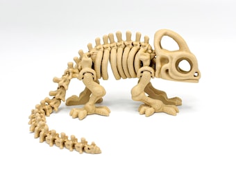 Articulated Chameleon Skeleton Toy - 3D Printed Lizard Fossil - Moving Lizard Bones Desk Pet - Goth Oddities Reptile Lover Fidget Gift