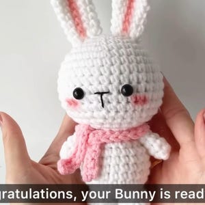May include: A handmade white crochet bunny with pink accents on the ears and cheeks, wearing a pink scarf. The bunny has black eyes and a stitched mouth. The text "Congratulations, your Bunny is ready" is at the bottom.