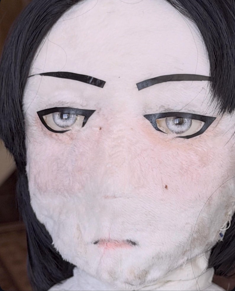 May include: A close-up of a doll's face with pale skin, black hair, and striking features. The doll has large, light-colored eyes with black eyeliner, thin black eyebrows, and a small, slightly parted mouth. The doll's face has a soft, textured appearance.