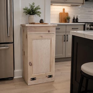 May include: A light-colored wooden cabinet with a single door and a drawer. The cabinet has black hinges and a small wooden knob. A small plant in a white pot sits on top of the cabinet, along with a small decorative item.