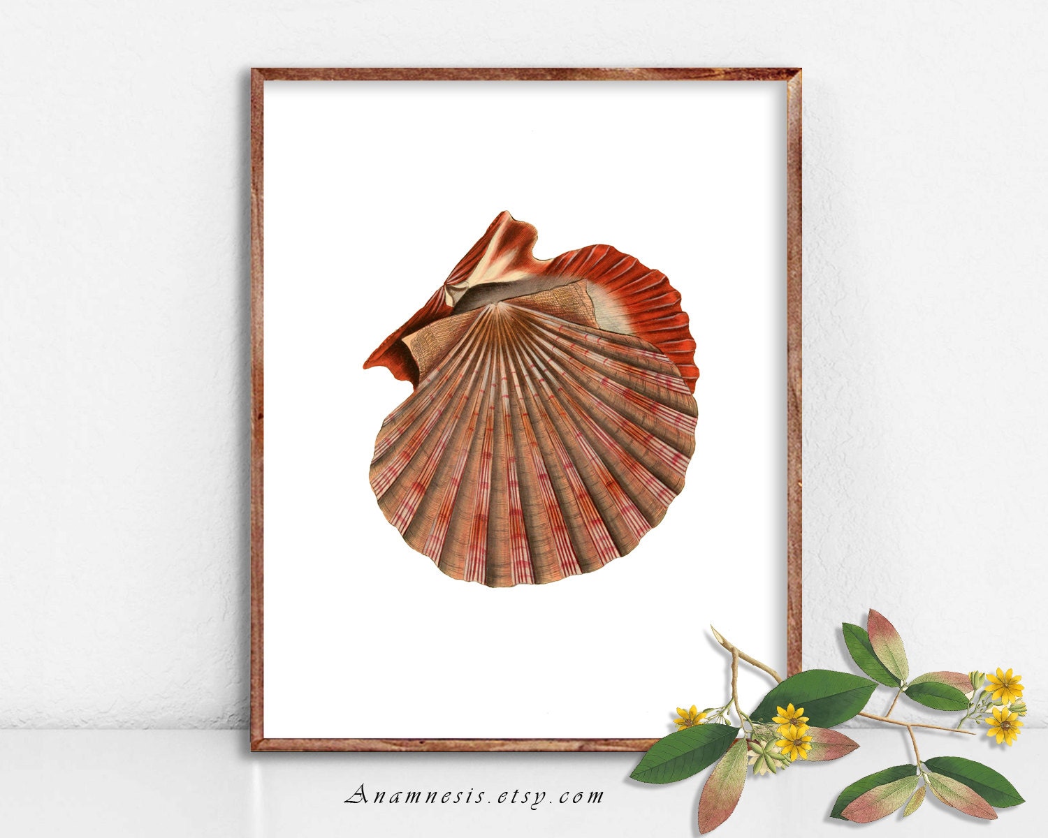 Orange Sea Shell Print Pattern ORANGE SEA SHELL - Instant Download Print - a Retooled Antique Shell ...