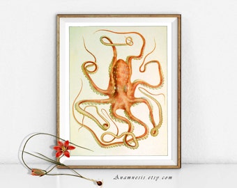 CORAL OCTOPUS - digital download - printable antique sea illustration retooled by Anamnesis - image transfer - totes, pillows, prints etc.