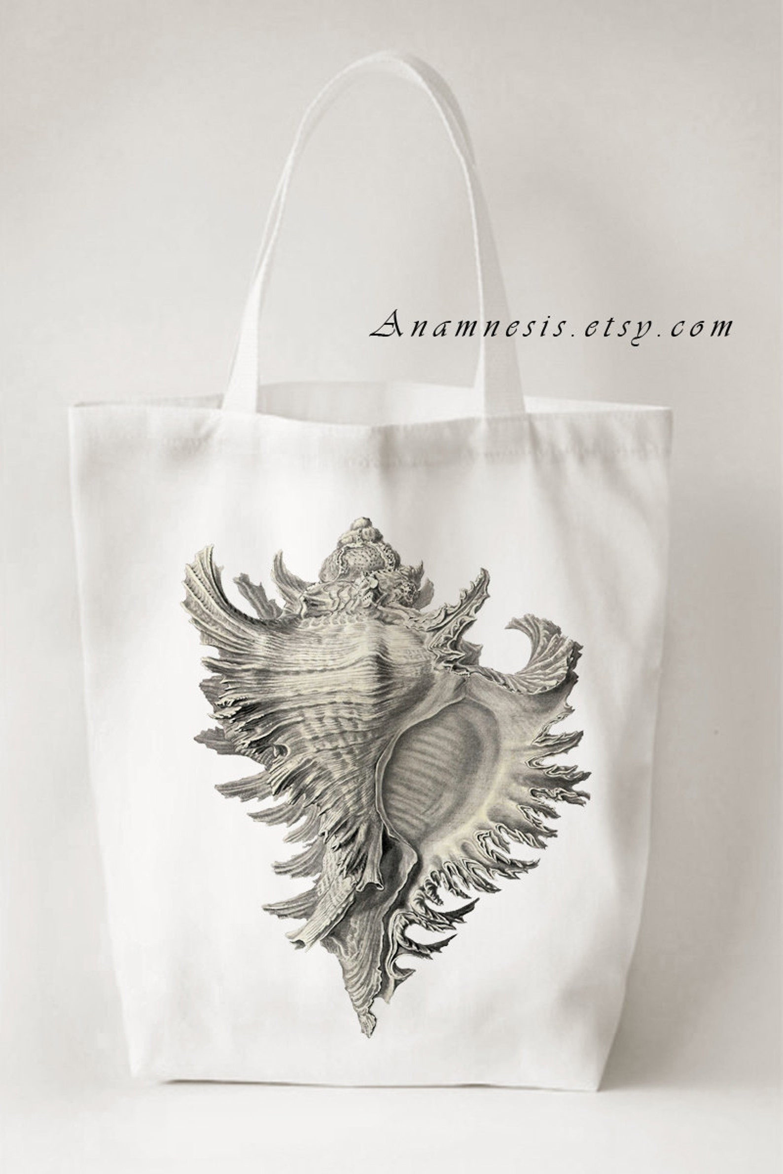 CONCH SHELL - Digital Download - Printable Antique Illustration ...