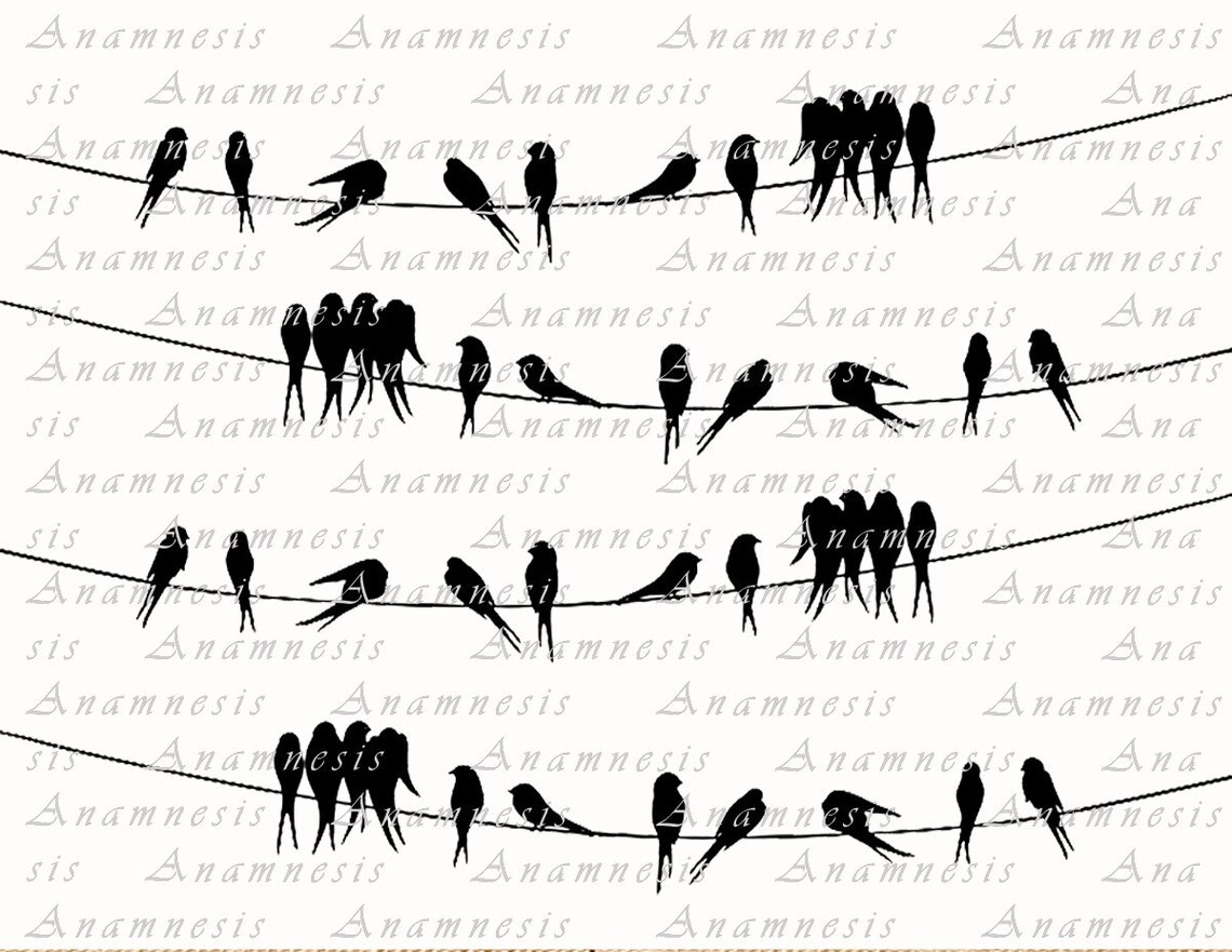 BIRDS ON A WIRE Digital Download Printable Graphic Bird Vintage Image ...