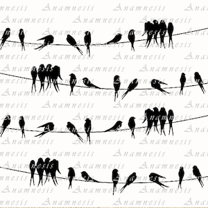 BIRDS ON A WIRE - Digital Download - Printable Graphic Bird Vintage ...