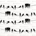 BIRDS ON A WIRE Digital Download Printable Graphic Bird Vintage Image ...