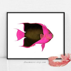 PEIXE TROPICAL COLORIDO 2 em Hot Pink - download de imagem digital - ilustração de peixe grande imprimível para transferência de imagem - bolsas, travesseiros, estampas