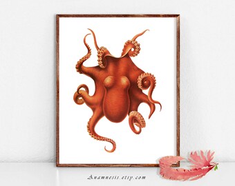 Octopus Art Print - PERSIMMON OCTOPUS - Instant Download - printable antique ocean illustration for framing, beach house, totes, clothes,