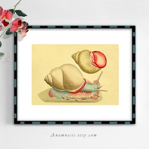 Vita di Ocean Art Print - turchese e corallo lumaca - Download digitale istantanea - illustrazione di vita di mare stampabile per l'inquadramento, totes, schede, ecc.