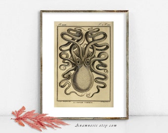 OCEAN OCTOPUS PRINT - Instant Download - printable antique octopus illustration to frame or transfer to totes, cards, tags, t-shirts etc.