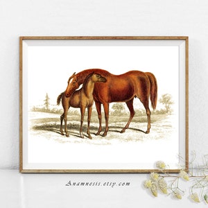 Horse Print - MARE AND COLT - digital download - printable antique horse illustration for prints, totes, fabric, cards - equestrian art