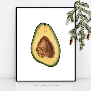 AVOCADO -  Instant Digital Download - printable antique vegetable illustration for framing, totes, cards, pillows, crafts & kitchen decor