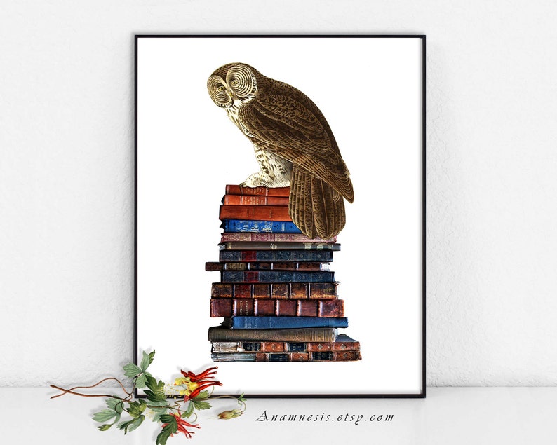 BOOKISH OWL digital image download large printable owl and old books illustration for image transfer totes, pillows, prints, cards image 1