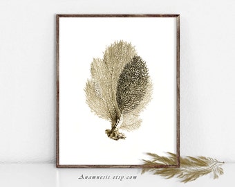 Sea Coral Art Print - SEA CORAL in SEPIA - Instant Download - printable sea life illustration for framing, totes, fabric, jewelry, cards