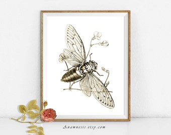 HONEY BEE - digital download - printable antique insect illustration retooled for image transfer to totes, pillows, prints, clothes etc.