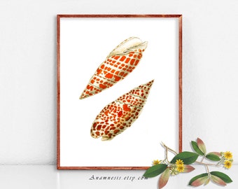 ORANGE SPOTTED SHELLS printable - Instant Download - antique sea shell illustration for framing use on totes, cards, clothes, etc. etc.