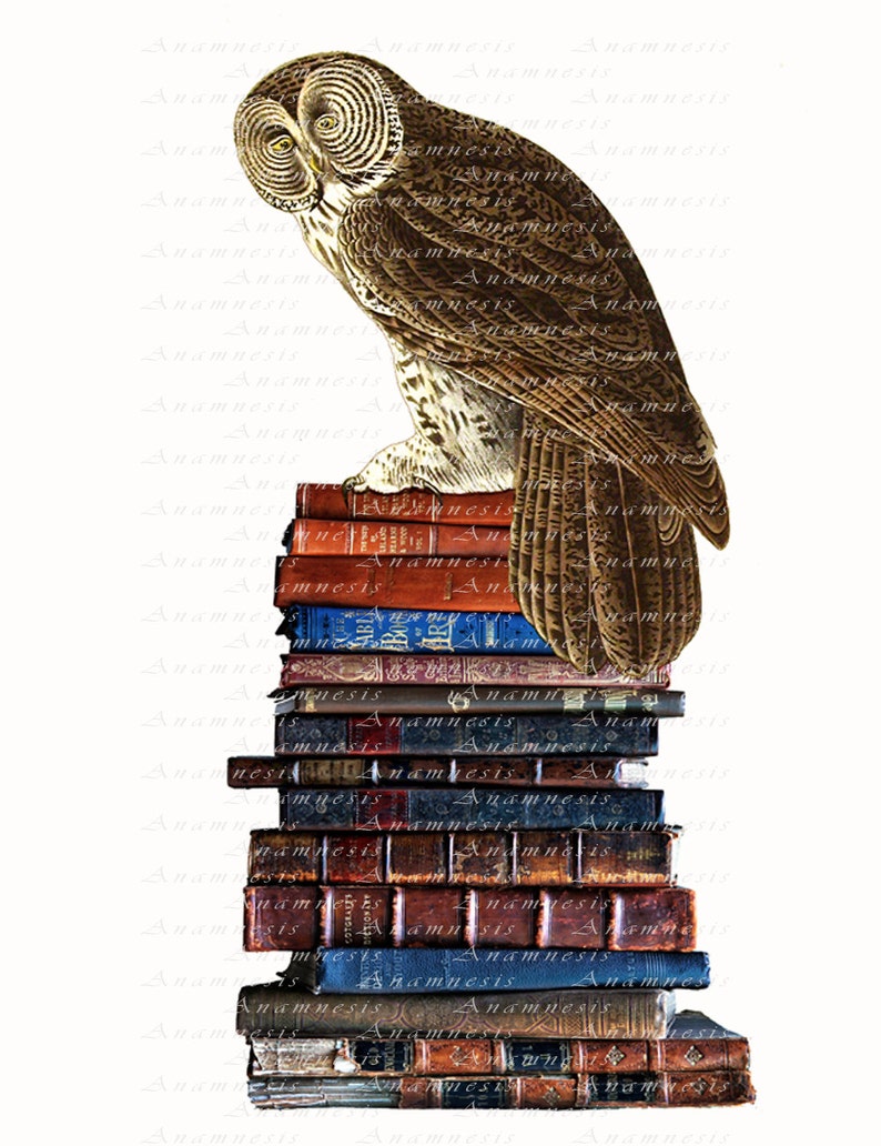 BOOKISH OWL digital image download large printable owl and old books illustration for image transfer totes, pillows, prints, cards image 3