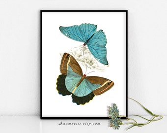 BUTTERFLY COLLAGE 4 - High Res Digital Image - printable 1800's illustration for image transfer - totes, pillows, prints - natural history